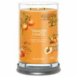 Water Bottle Store -Water Bottle Store 1631843e farm fresh peach signature large tumbler candle 2