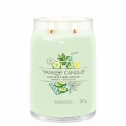 Water Bottle Store -Water Bottle Store 1728894e cucumber mint cooler signature large jar candle 2