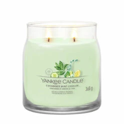 Featured Products -Water Bottle Store 1728904e cucumber mint cooler signature medium jar candle 2