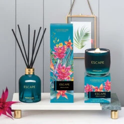 Stoneglow Infusion Escape White Tea & Mint Reed Diffuser 5 Stoneglow Infusion Escape White Tea & Mint Reed Diffuser -Water Bottle Store 6845 stoneglow infusion escape reed diffuser lifestyle 1