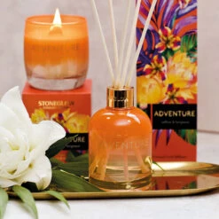 Stoneglow Infusion Adventure Saffron & Bergamot Reed Diffuser 5 Stoneglow Infusion Adventure Saffron & Bergamot Reed Diffuser -Water Bottle Store 70492 stoneglow infusion adventure reed diffuser lifestyle 1