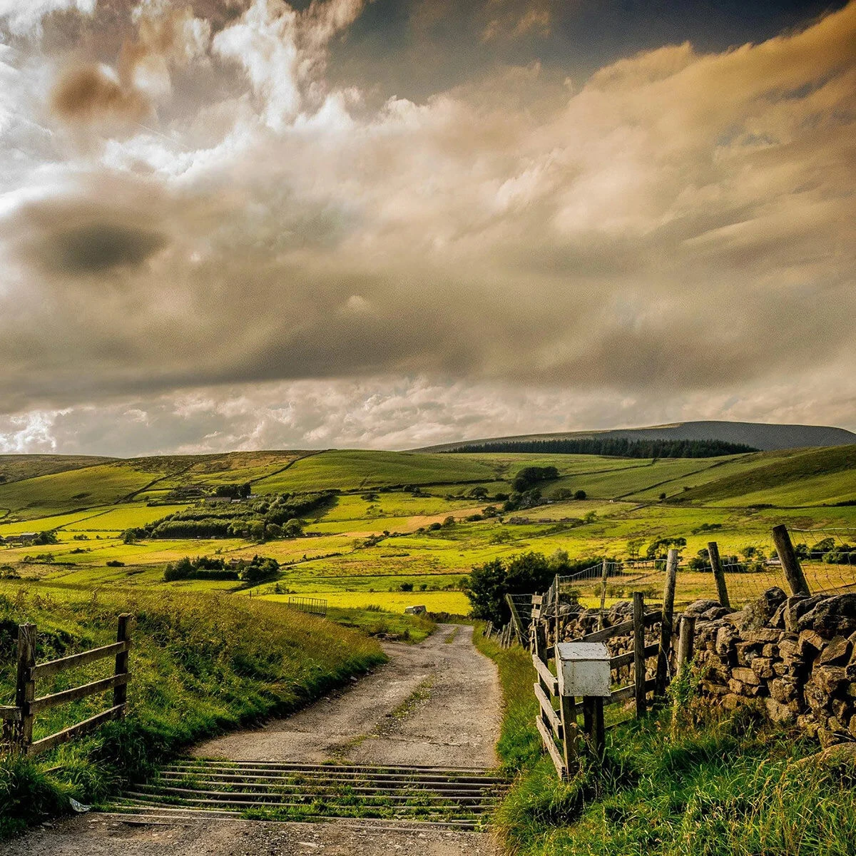 Home County Candle Co. The Lancashire - Red Rose & Patchouli Reed Diffuser 2 Home County Candle Co. The Lancashire - Red Rose & Patchouli Reed Diffuser - Image 2