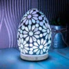 Desire White Flower Egg Colour Changing Aroma Humidifier