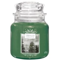 Yankee Candle Evergreen Mist Medium Jar Candle